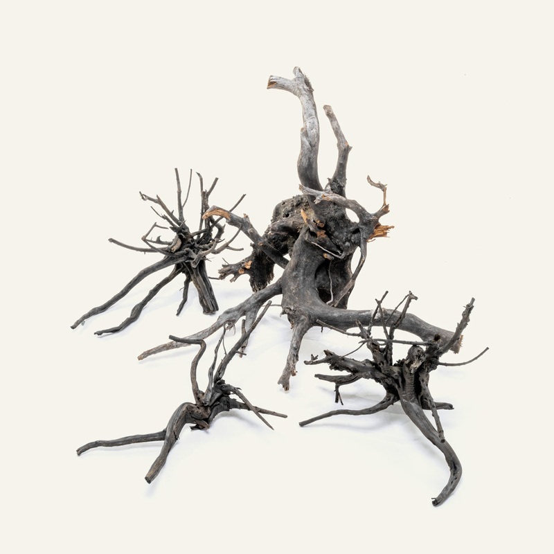 Black Forest Spider Wood